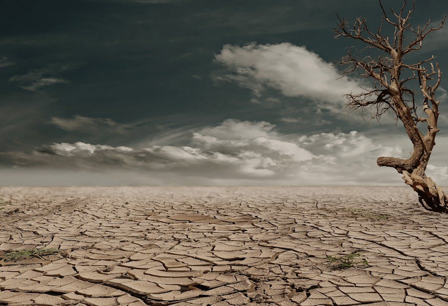 Tierra agrietada por la sequía, símbolo del estrés hídrico